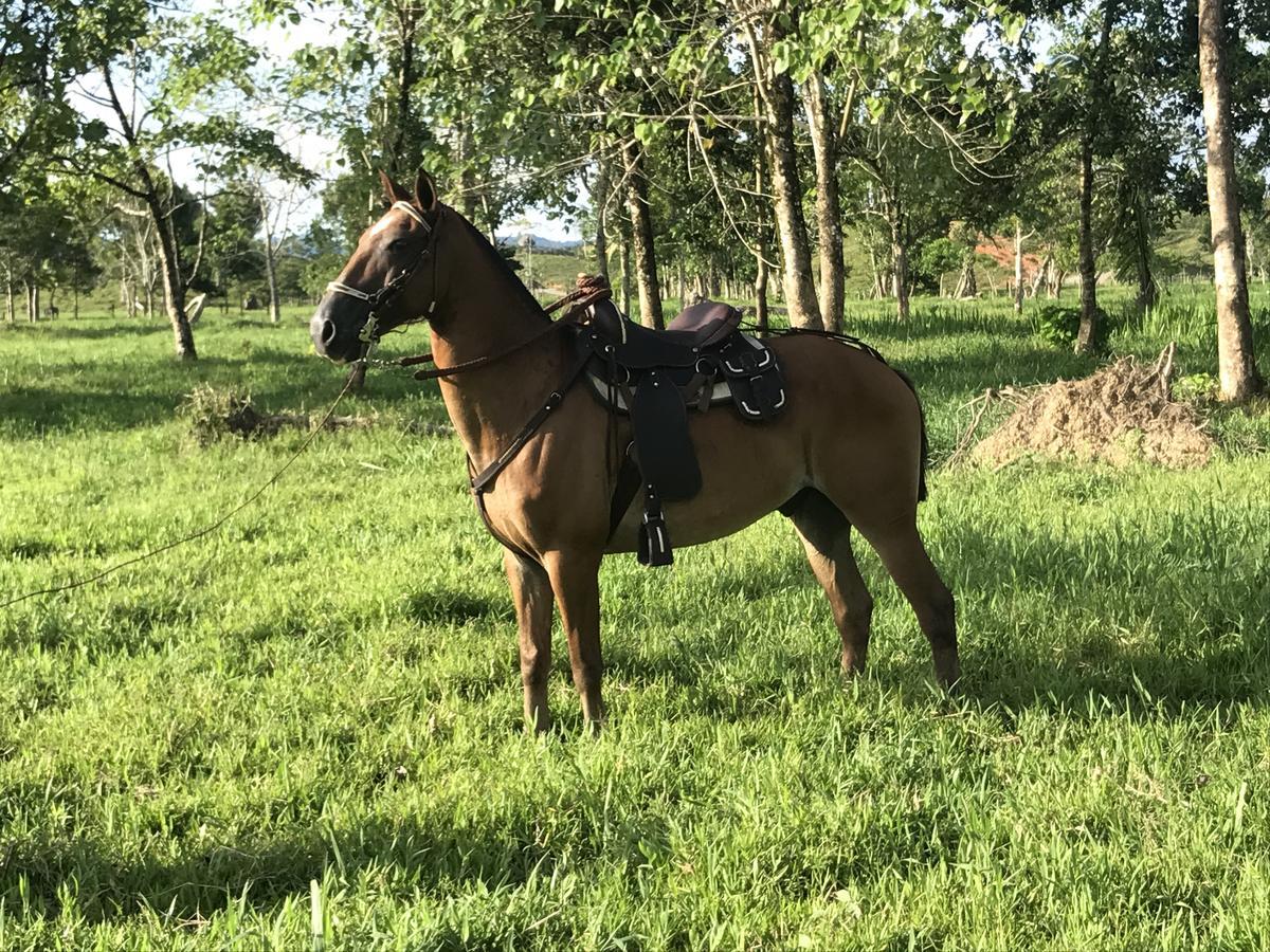 Tenamit Maya El Higuerito Kültér fotó